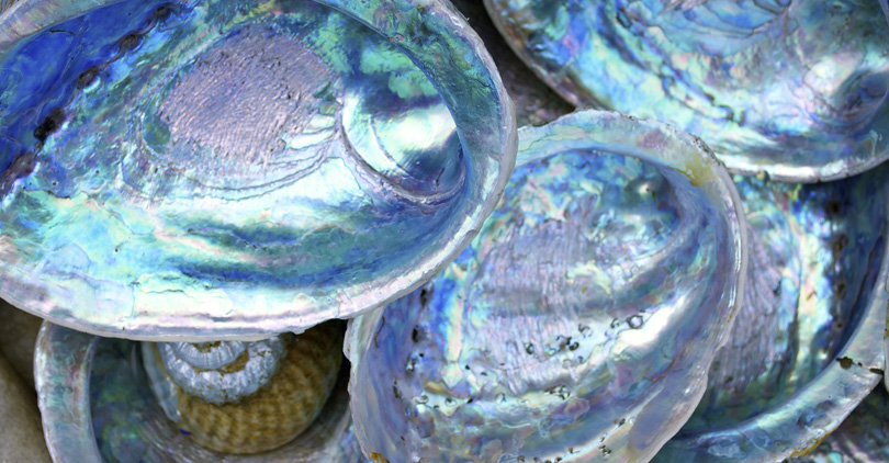 Everything You Need to Know about Mother of Pearl-1